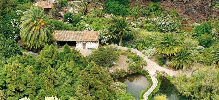 Jardín Botánico Viera y Clavijo Spanish Home - Spain propety experts