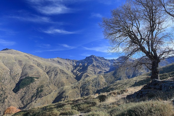 Sierra Nevada National Park Spanish Home - Spain propety experts