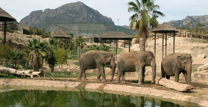 Connect with animals at Terra Natura Zoo Spanish Home - Spain propety experts