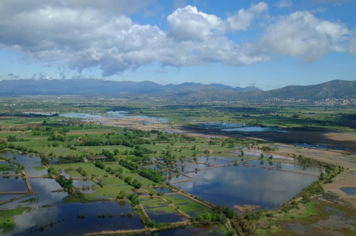 Parc Natural dels Aiguamolls de l'Emporda Spanish Home - Spain propety experts