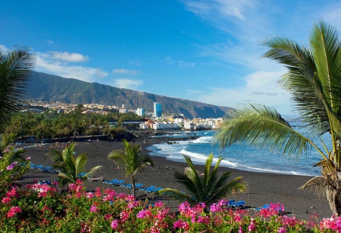 Be friends with the whales during a boat trip in Tenerife Spanish Home - Spain propety experts