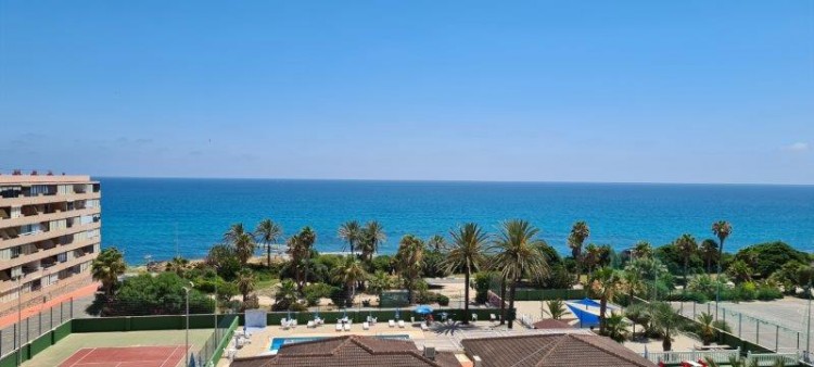 1 Bed Apartments/Flats for sale in Alicante, Spain - NS1369K