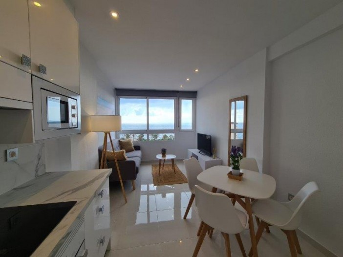 1 Habitación Apartamentos/Pisos en venta en Alicante, Spain - NS1369K