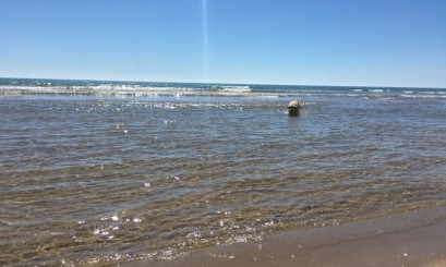 Property for sale in Spain