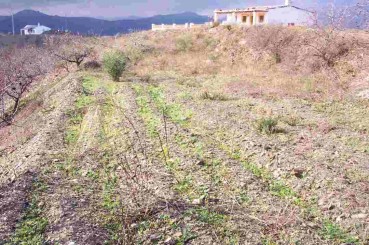 Propiedades para venta en  Spain