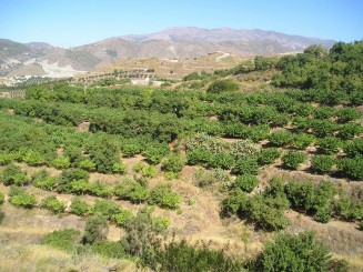 Property for sale in Spain