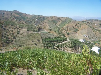 Property for sale in Spain