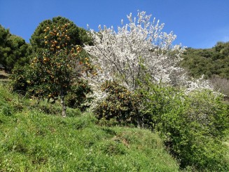 Propiedades para venta en  Spain