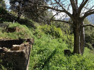 Propiedades para venta en  Spain