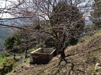 Propiedades para venta en  Spain