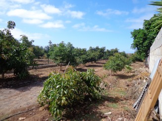 Property for sale in Spain