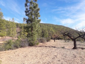 Property for sale in Spain