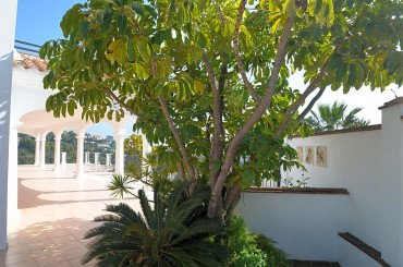 Property for sale in Spain