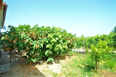 Propiedades para venta en  Spain