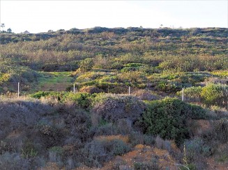 Property for sale in Spain