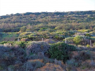 Property for sale in Spain